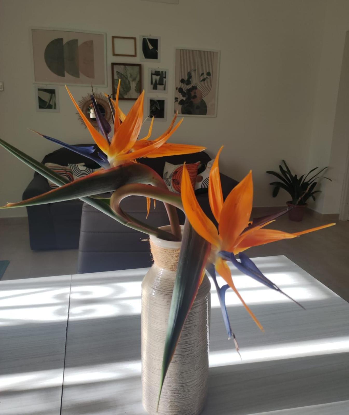 Willa Casa Mariangela Olbia Zewnętrze zdjęcie